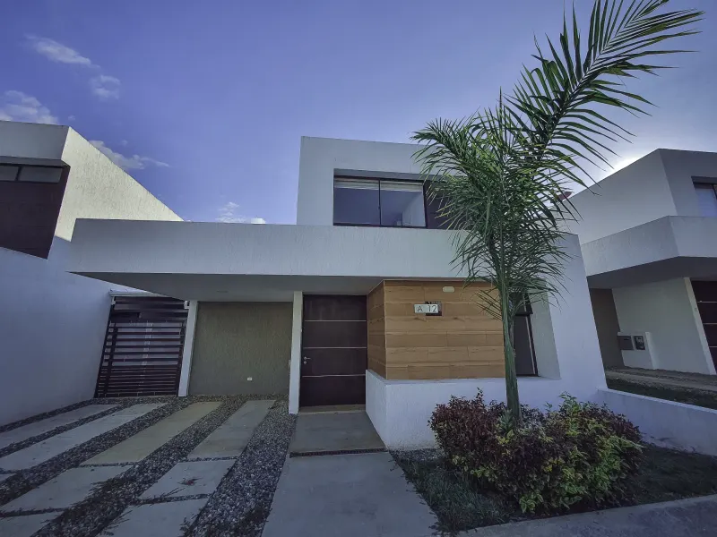 Casa Single